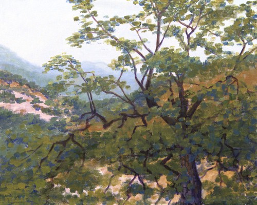JPG_Gnarled_Tree,_Outside_Porterville.jpg (79615 bytes)