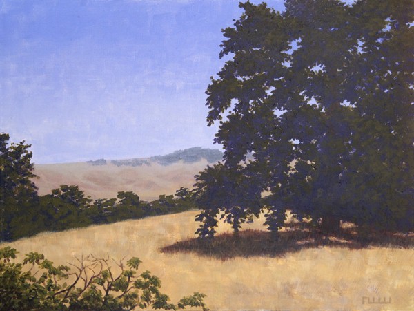JPG_Oak_in_NoCal.jpg (75886 bytes)