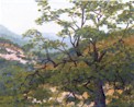 Thm_Gnarled_Tree,_Outside_Porterville.jpg (7056 bytes)