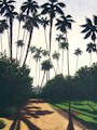 Thm_Palms_Arboretum.jpg (6875 bytes)