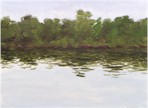 Thm_Trees_on_Water,_Summer.jpg (5526 bytes)