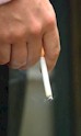 smoker2.jpg (2934 bytes)